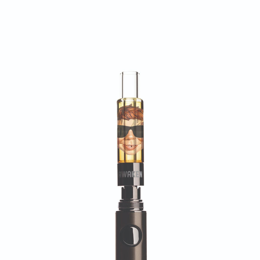 AWAKEN SUNDAE DRIVER #2 1ML BLASTER CARTRIDGE view 2